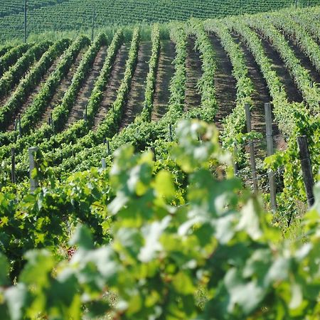 فيلا اجليانو تيرميفي Cascina Dani المظهر الخارجي الصورة